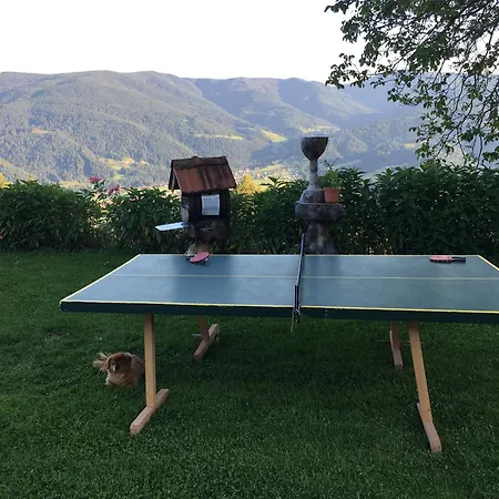 Domacija Kohovo Διαμέρισμα *