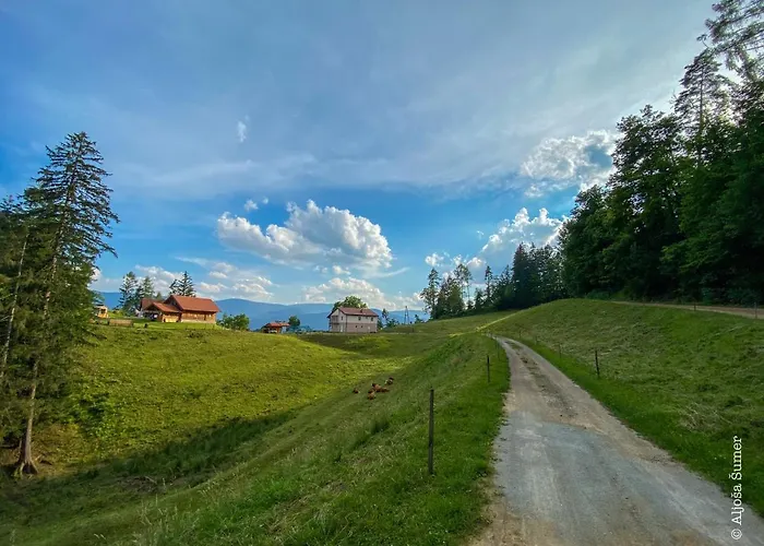 Domacija Kohovo * Lovrenc na Pohorju